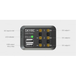 SkyRC SK-600114-01 DC Power...