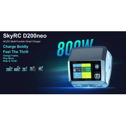 SKYRC D100 Neo AC/DC Dual Charger