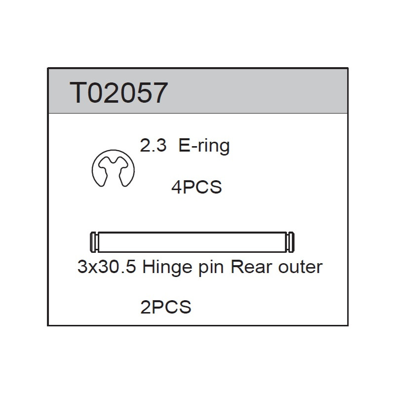 Team C T02057 Rear-Outer Hinge Pin 3 x 30.5mm (2)