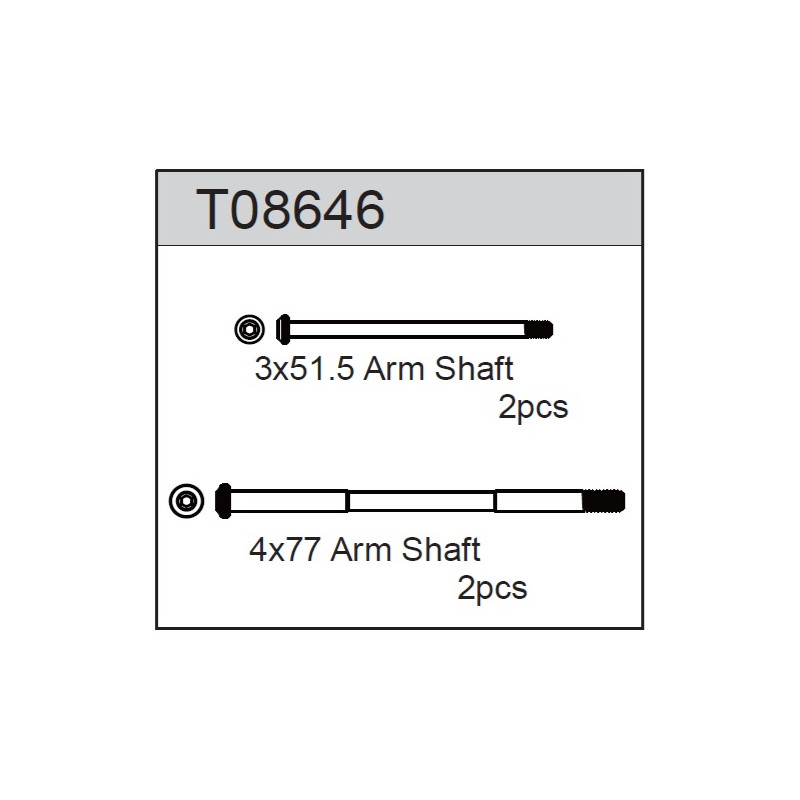 Team C T08646 Arm Pin Set B (4)