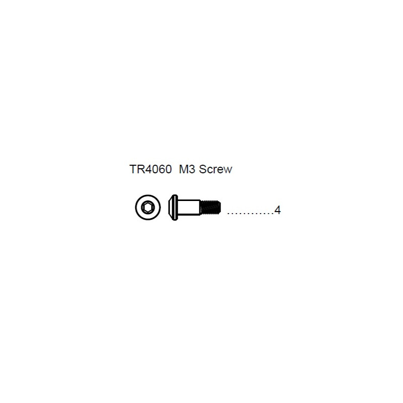Team C TR4060 King Pin M3 Screw (6)