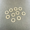 Shims 6x10x0.3 (10)
